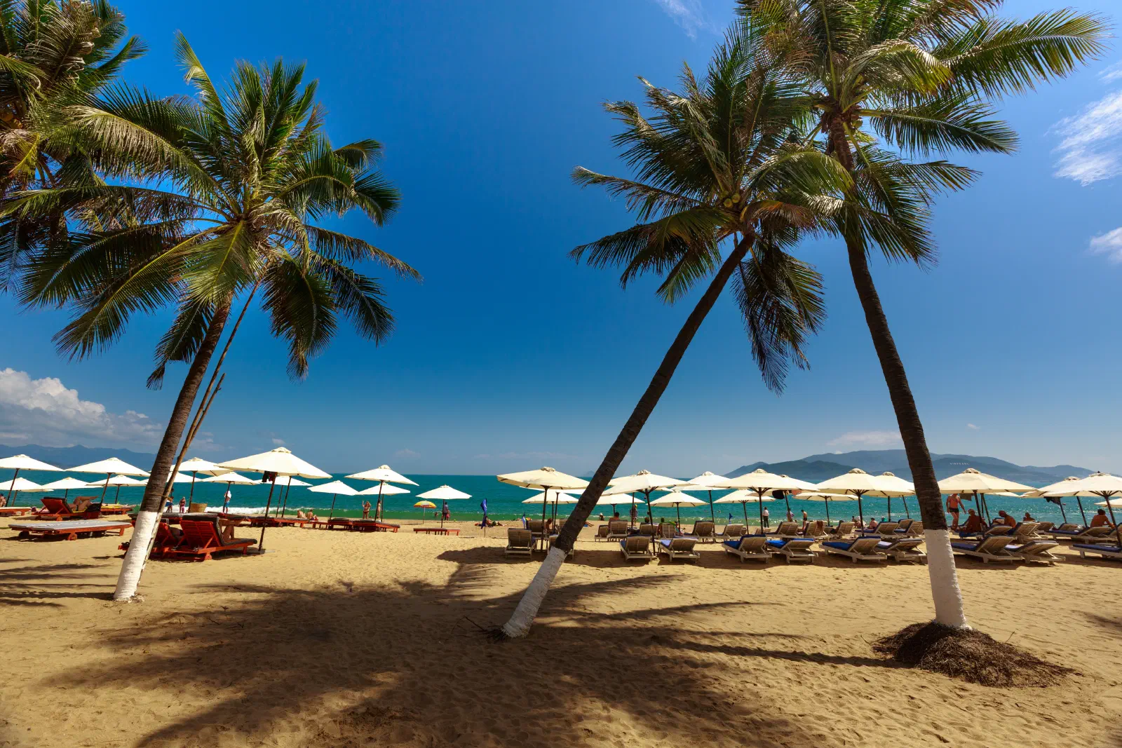 Cẩm Nang Du Lịch Nha Trang Tự Túc 2026: Chi Phí, Lịch Trình 3N2Đ