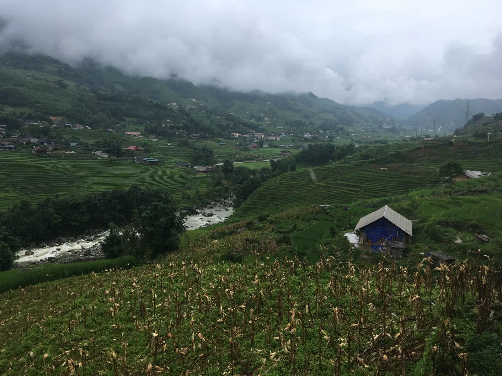 Cẩm Nang Du Lịch Sapa Tự Túc 3N2Đ 2026: Chi Phí, Lịch Trình