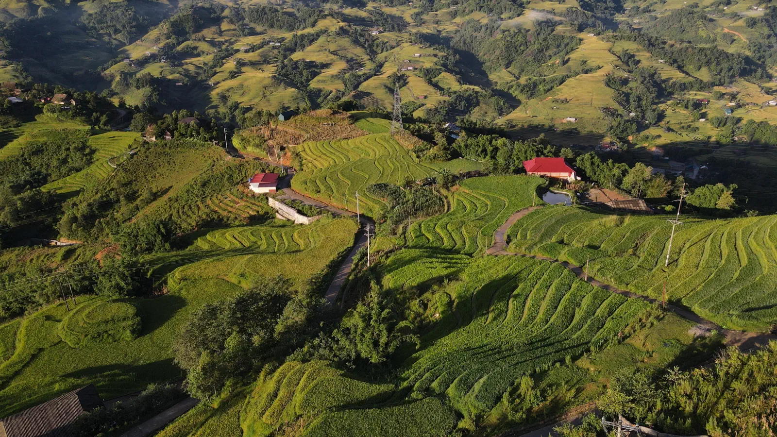Đà Lạt — Những Quán Cafe View Đẹp Cho Một Chiều Thư Thả