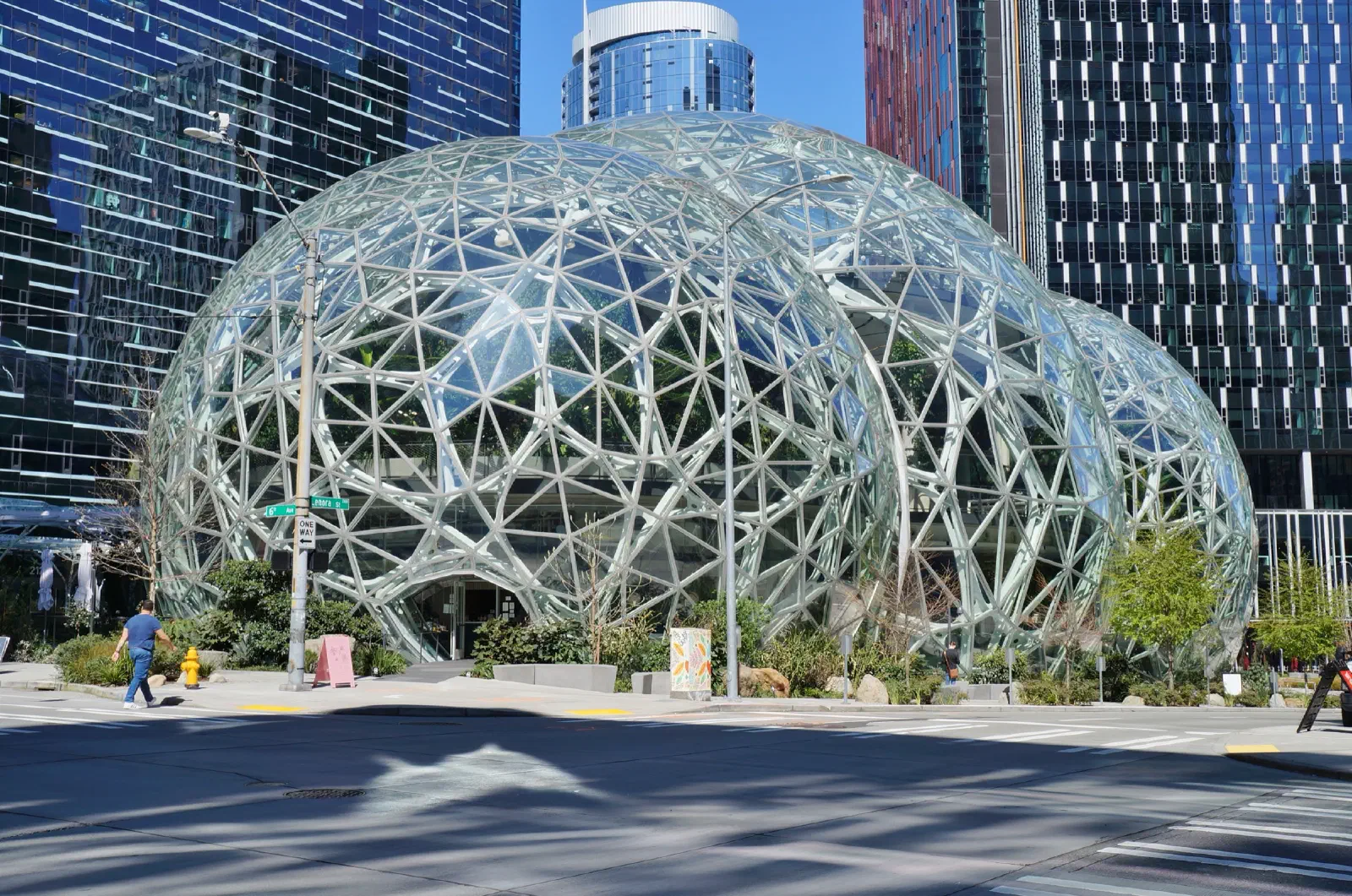 Lịch sử Amazon: từ hiệu sách trực tuyến đến đế chế thương mại điện tử