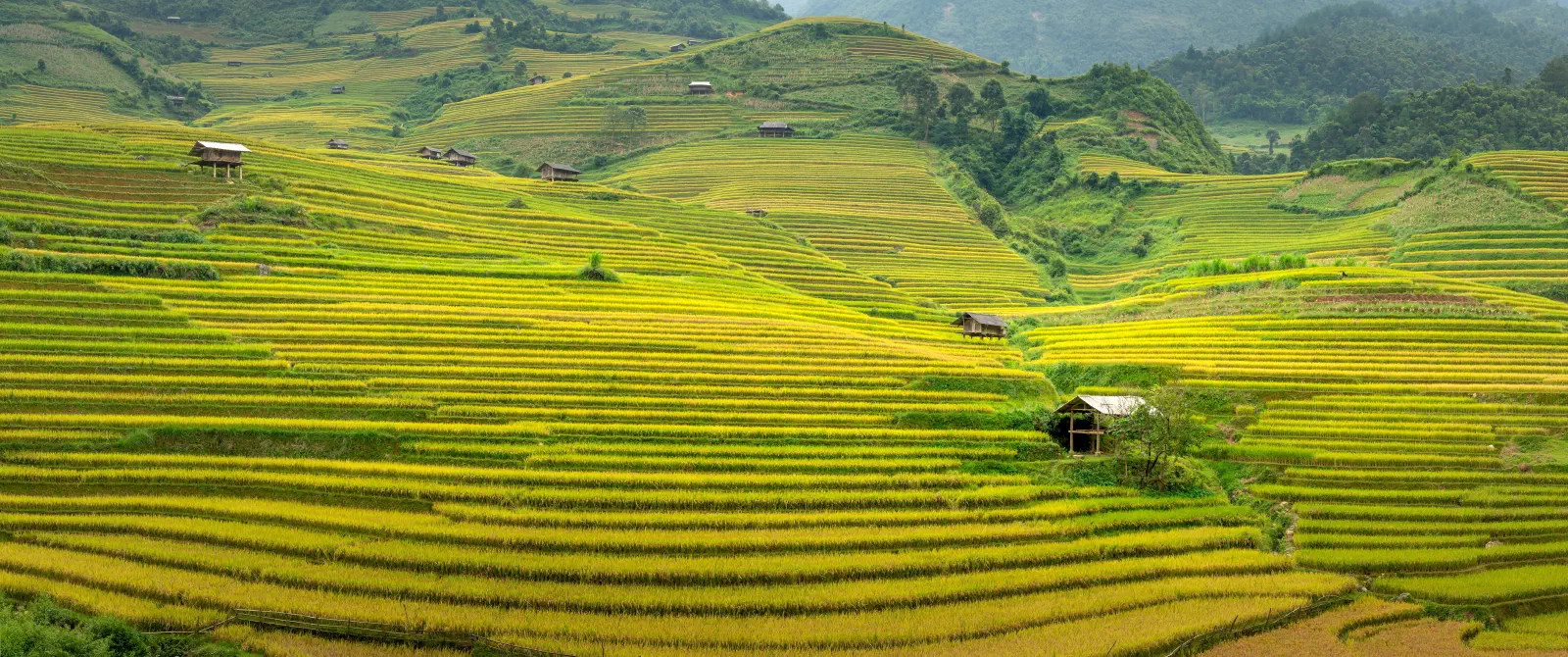 Phượt Tây Bắc Mùa Hoa: Cung Đường Và Kinh Nghiệm Không Thể Quên